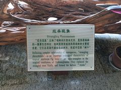 -中国科学院西双版纳热带植物园