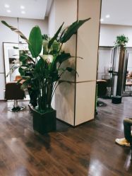 -崇尚GAVIN STYLE臻选