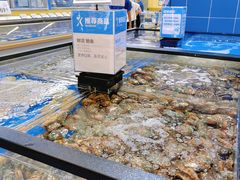 -盒马X会员店(王府井奥莱UP TOWN店)