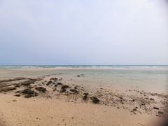 -贝壳沙滩
