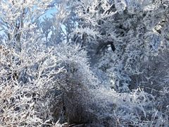 -湖州龙王山景区