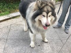 -中天钢铁体育馆(南一门店)