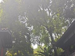 -大妙火锅·非物质文化遗产(东湖公园店)