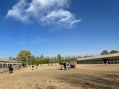 -北京群众马术培训基地