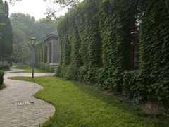 -曲阜师范大学(曲阜校区)
