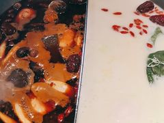 花胶鸡汤锅底-湊湊火锅·茶憩(新中关购物中心店)