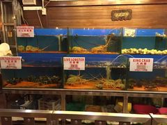 -真浪花园海鲜餐馆