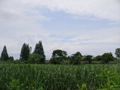 -河姆渡遗址博物馆
