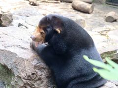 -杭州动物园