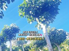 -三亚南山文化旅游区