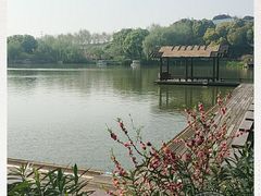 -圩墩遗址公园