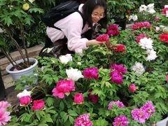 -华南国家植物园-售票处