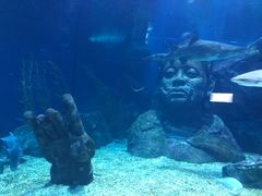 -暹罗海洋世界