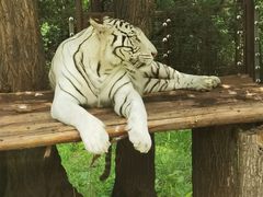 -西安秦岭野生动物园