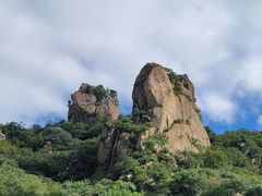 -大岭沟猕猴桃谷风景区