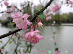 -黄兴公园