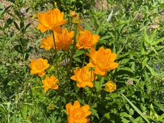 -白草畔自然风景区