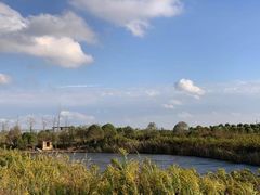 -上海崇明金茂凯悦酒店