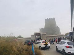 -金塔沙漠胡杨林景区