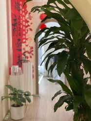 -Doria salon 小颜皮肤