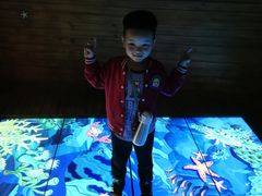 -中国宋庆龄青少年科技文化交流中心