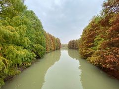 -上海海湾国家森林公园