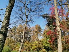 -浮山风景名胜区