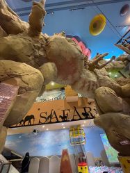 -卡通尼·Safari非洲探索乐园·生日会(金桥国际商业广场店)