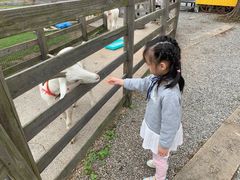 -前小桔亲子创意农场·草莓采摘·露营烧烤