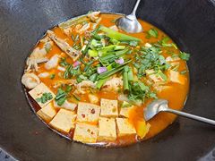 -老刘生态大鱼坊铁锅炖鱼(赛马场店)