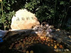 -观唐（国际）度假村温泉