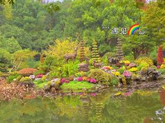 -杭州植物园