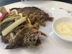 -骏莱海鲜鱼港(五角场店)