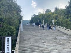 -铁山坪森林公园