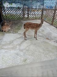 -萌宠亲子动物乐园(槐房万达店)