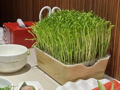 -海底捞火锅(海悦天地店)