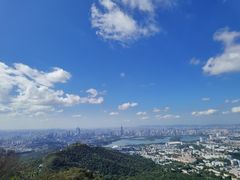 -紫金山山顶公园