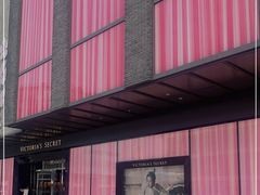 -Victoria's Secret(杭州湖滨银泰in77店)