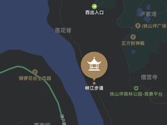 -铁山坪森林公园