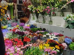 -双季花艺园艺市场(浦东店)