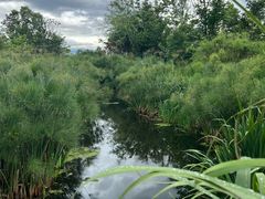 -崇圣寺三塔文化旅游区