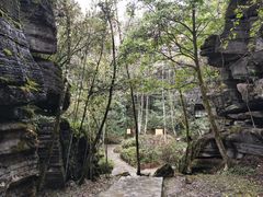 -梭布垭石林景区