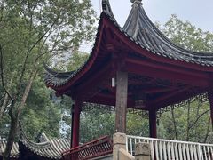 -龙潭水乡