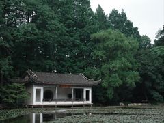-杭州植物园