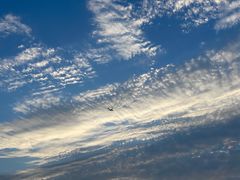 -春花秋色城市公园