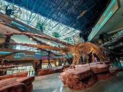 -安徽省地质博物馆