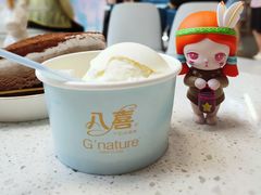 -八喜G’nature冰淇淋旗舰店