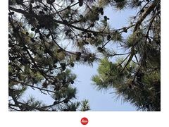 -青岛第三海水浴场