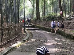 -杭州黄龙洞