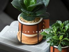 -天津水晶宫饭店